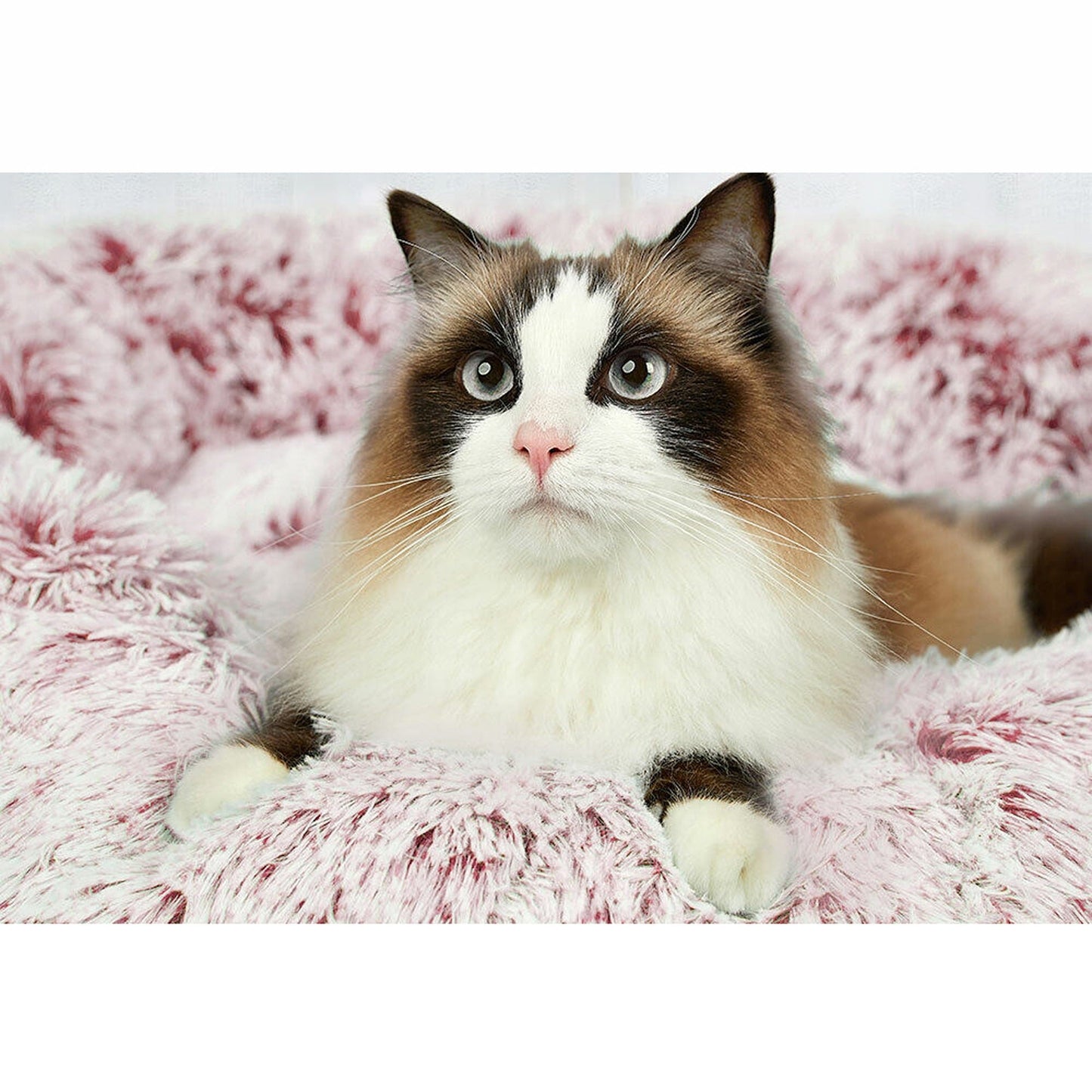 Light Pink Calming Pet Bed Dog Cat Sleeping Comfy Cave Washable