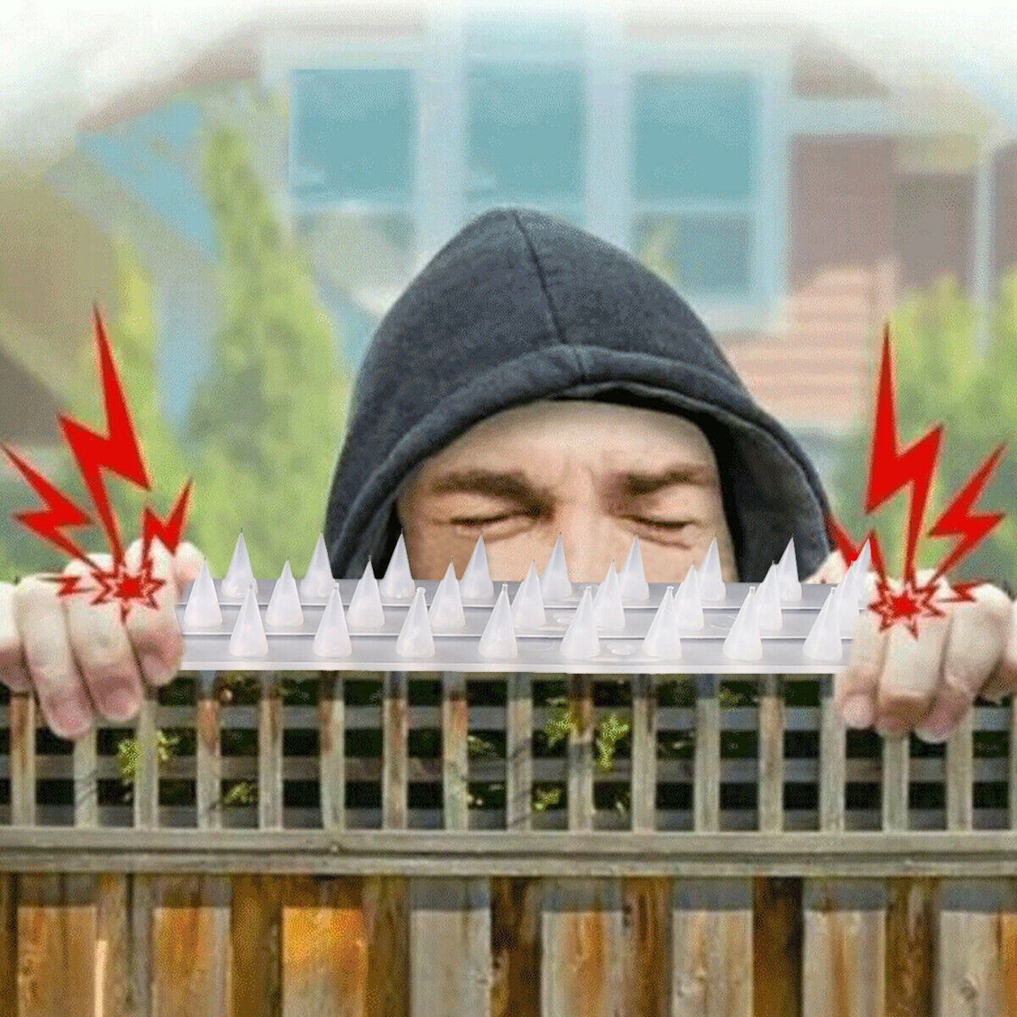 10pcs Bird and Pest Control Spikes Security Spiked Fence for Human Cat and Mouse