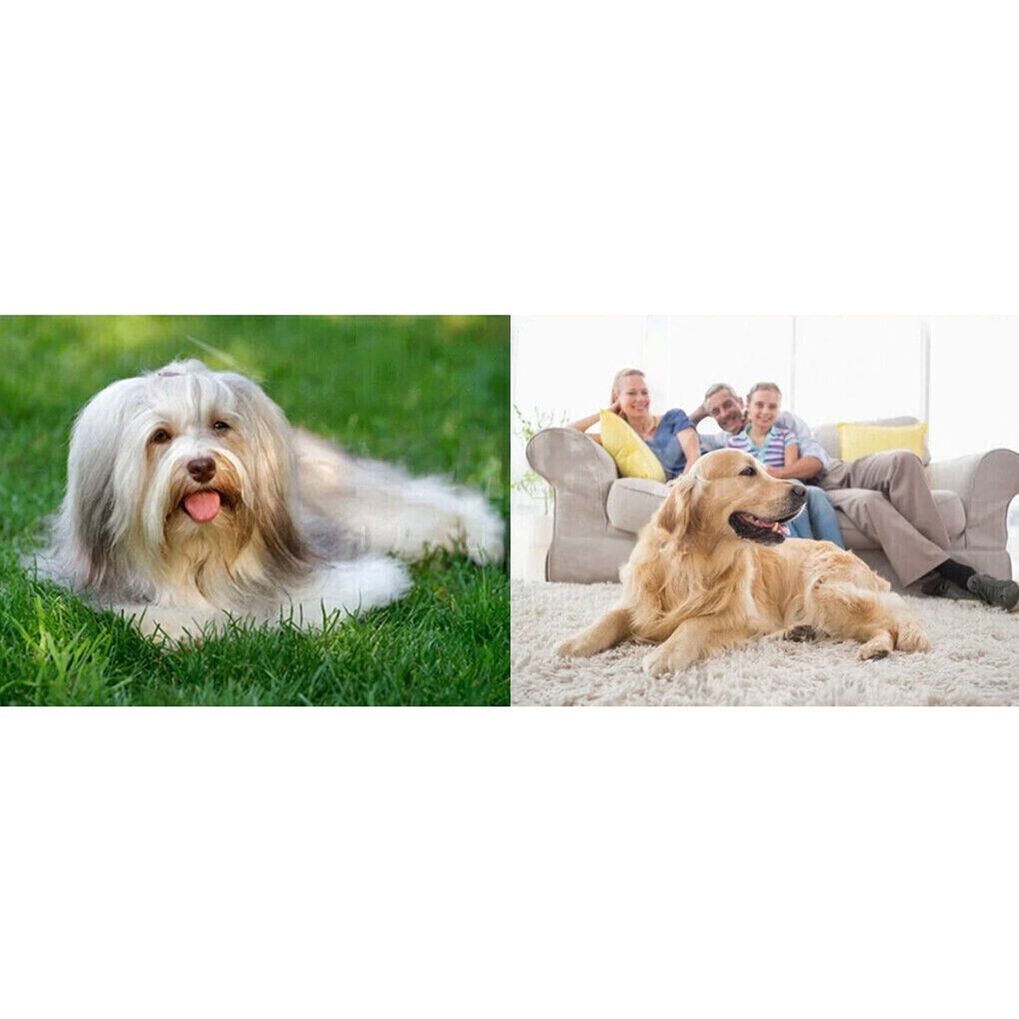 Large Indoor Dog Pet Potty Training Pee Pad Toilet Mat Tray