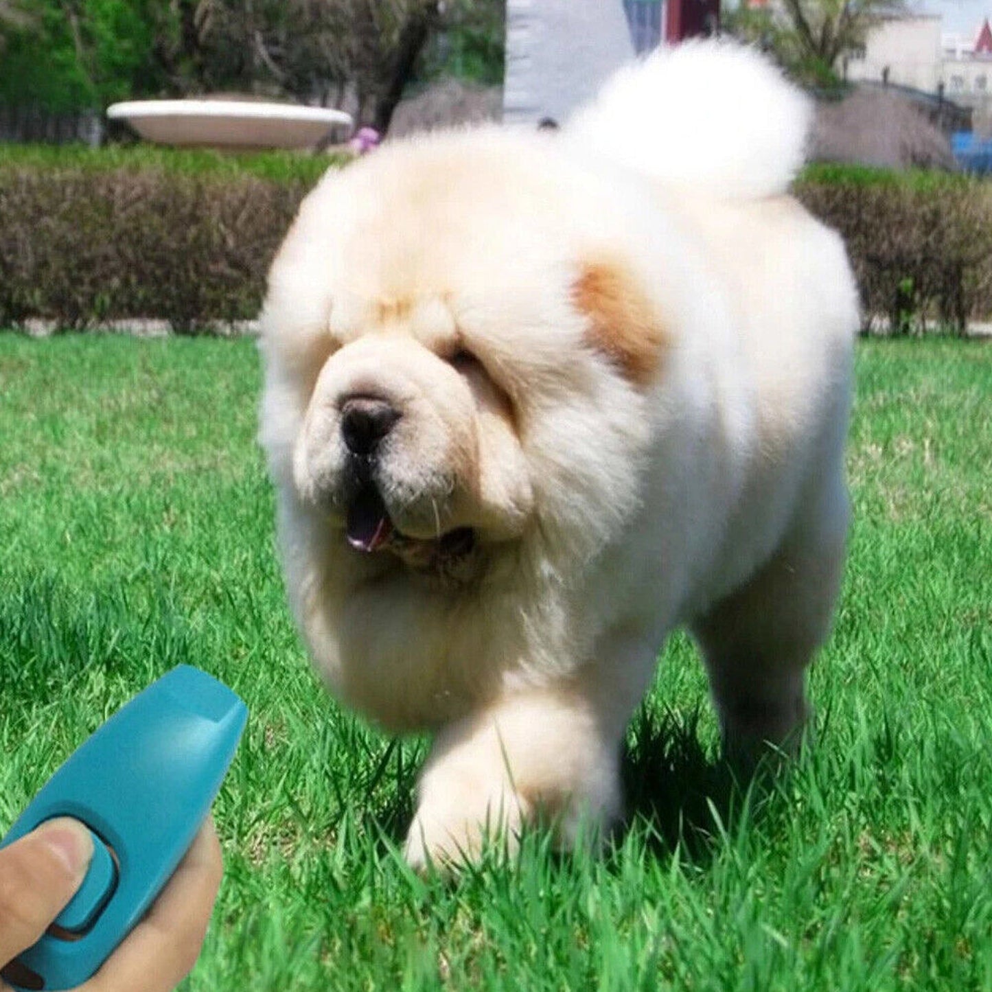 Puppy Training Set Dog Whistle Clicker Combo for Barking and Obedience
