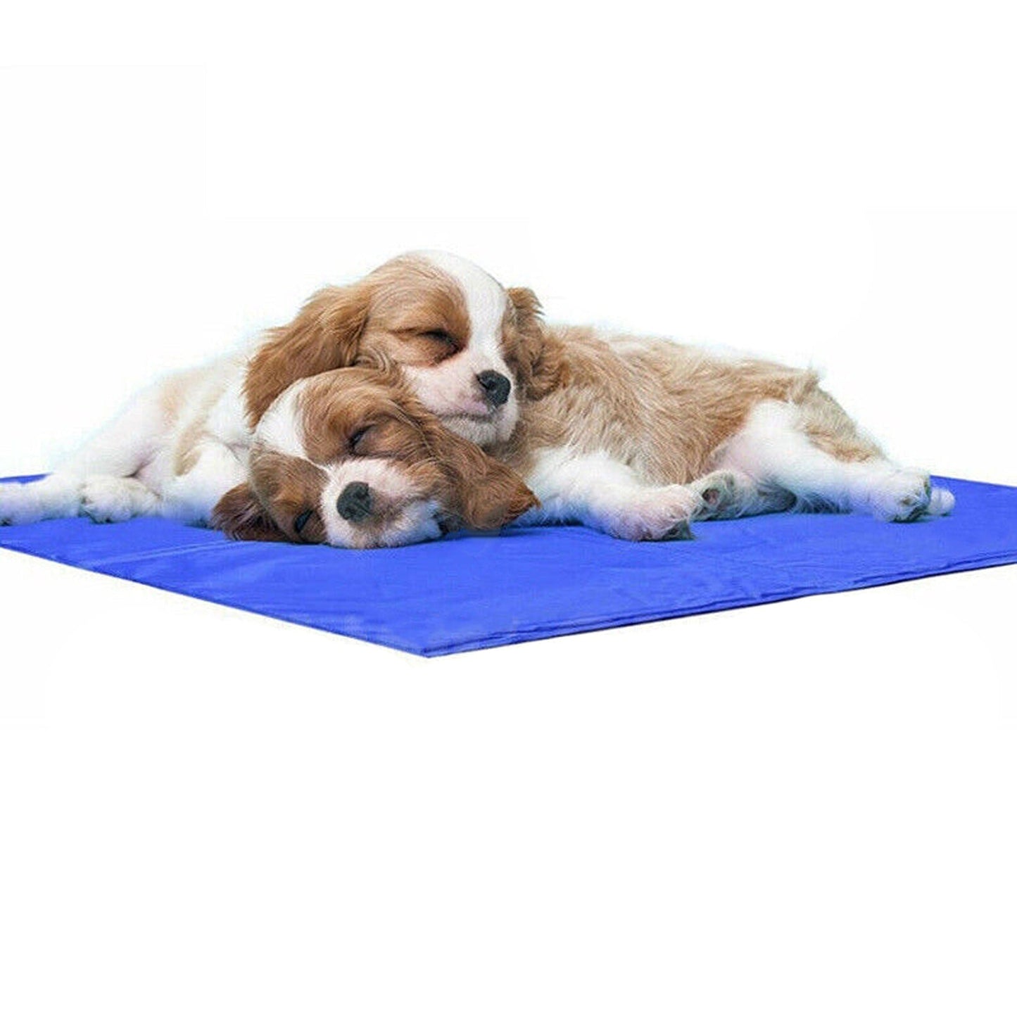 Non-Toxic Cooling Gel Mat for Dogs and Cats Summer Cool Bed