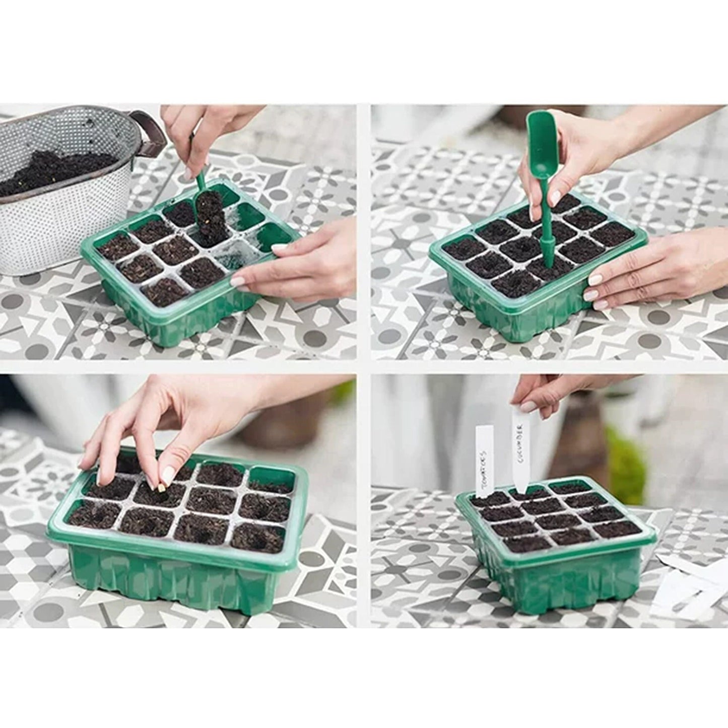 Set of 10 Seedling Starter Tray for Plant Growth and Propagation