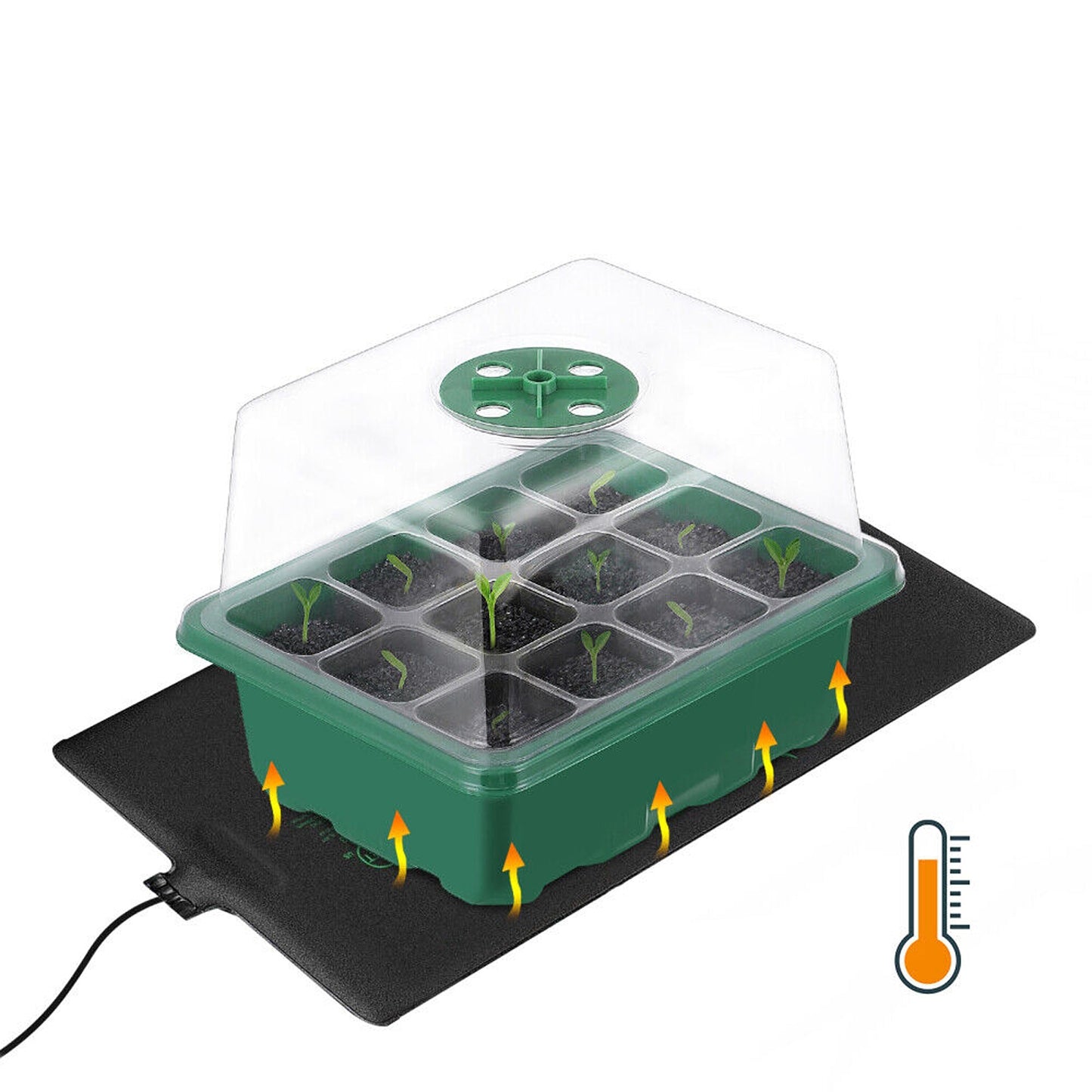 10pcs Planting Starter Kit Multi-Hole Seedling Box