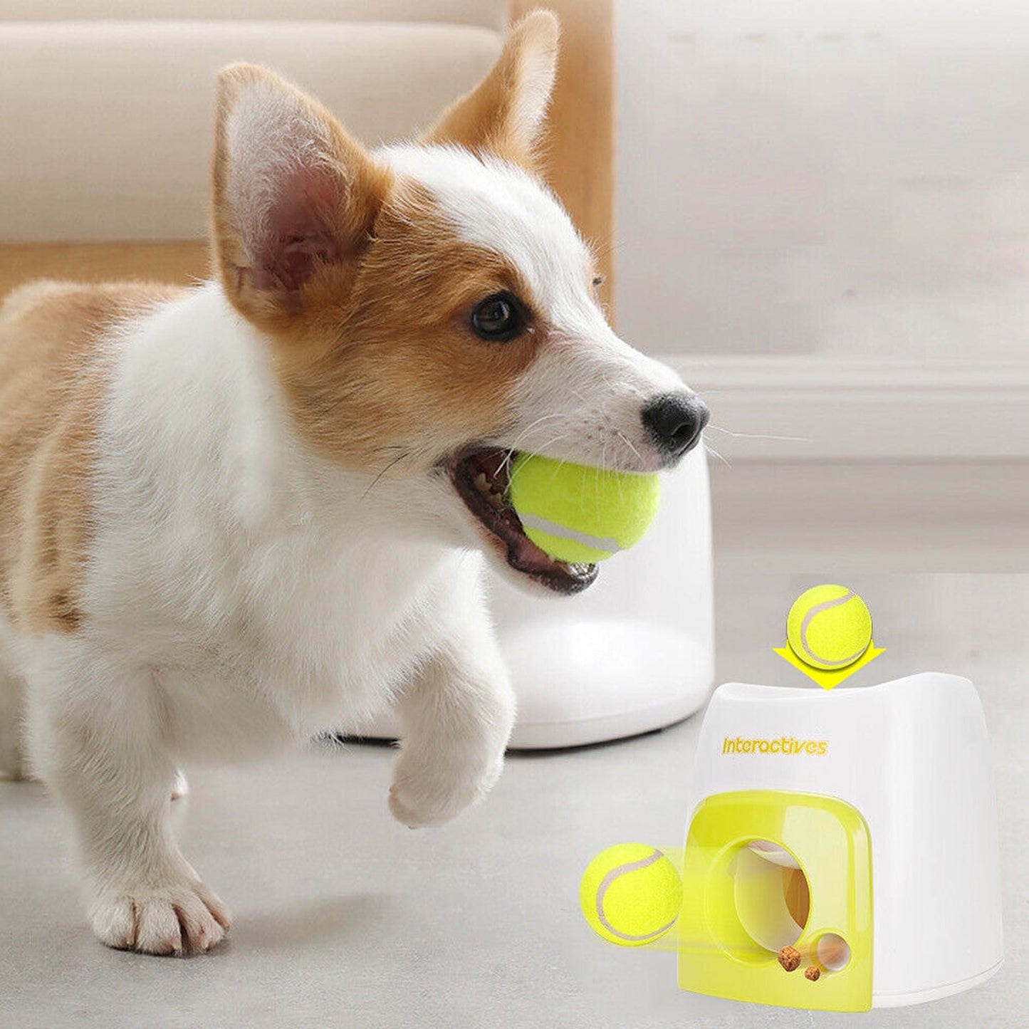 Interactive Reward Machine for Dogs - Tennis Ball Snack Launcher
