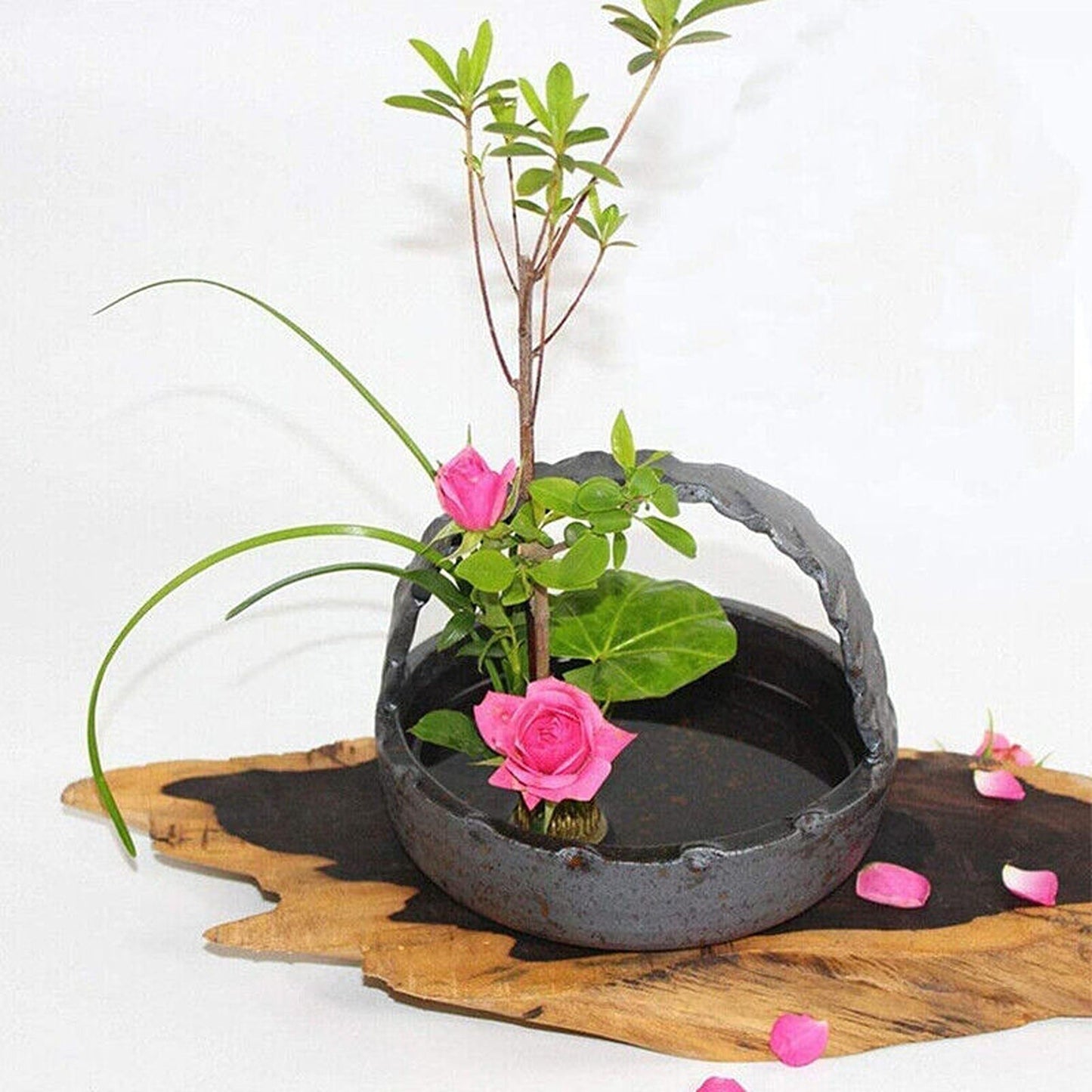 For Ikebana Kenzan Spiky Frog Fixed Tool Flower Arrangement Round Base