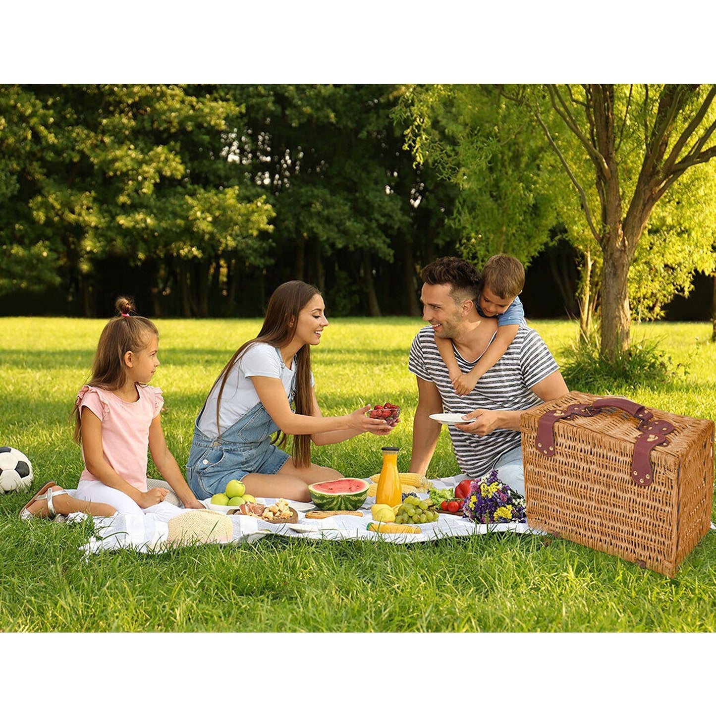 Deluxe Picnic Basket Set for 4 Outdoor Blanket and Willow Storage for Gifts