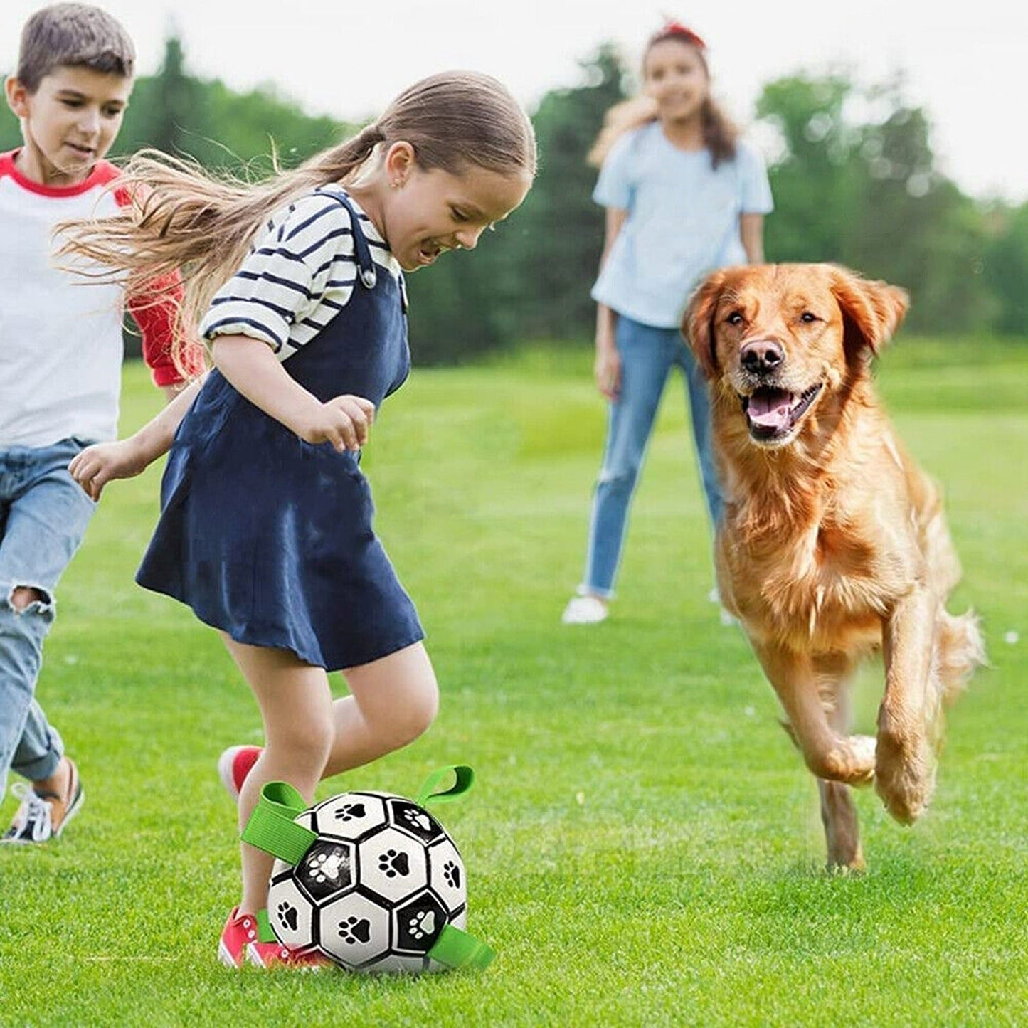 Pet Football Water Tabs Toy Interactive Dog Soccer Ball with Pump