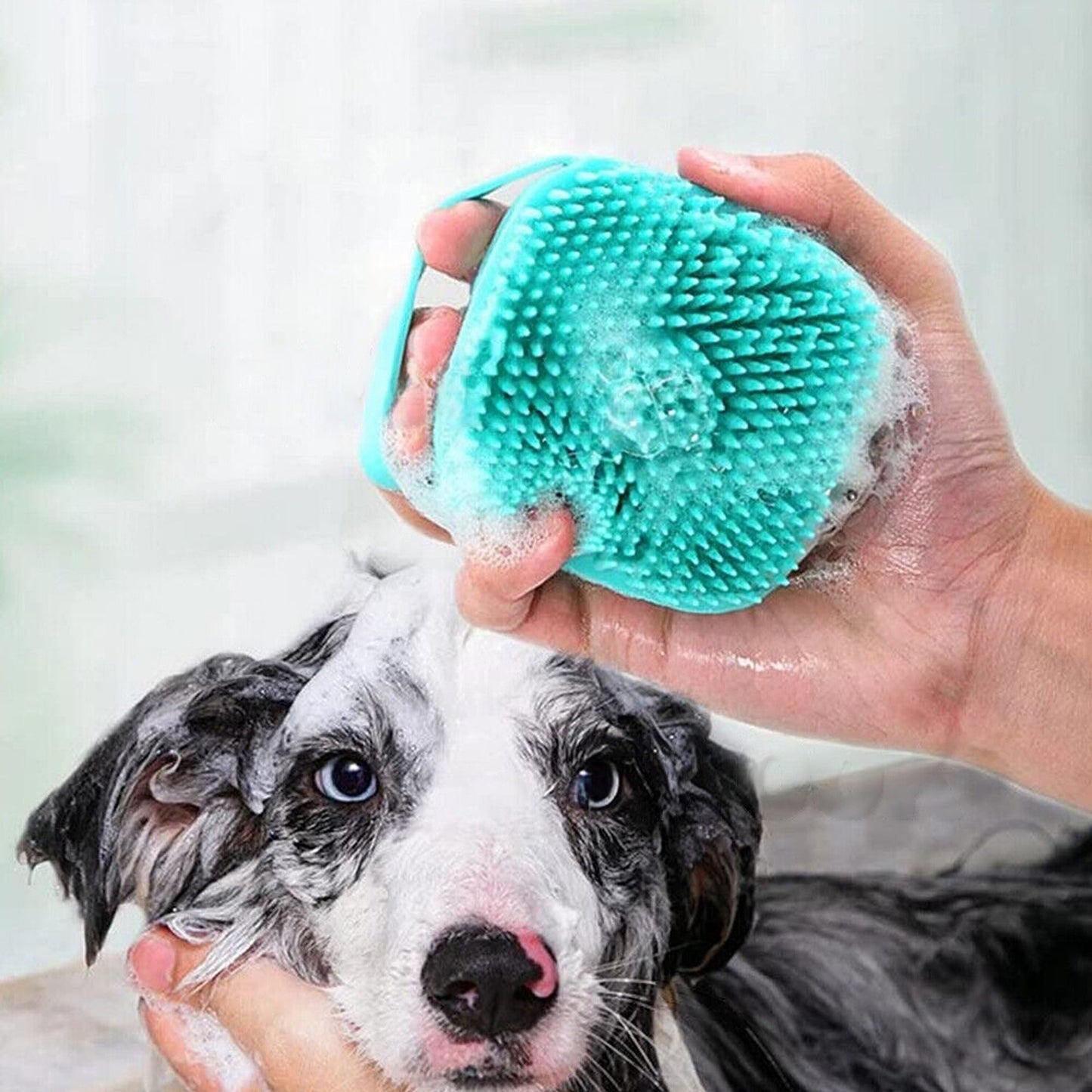 2pcs Pet Massage Bath Brush with Soap Dispenser Silicone Scrubber Tool for Dogs and Cats