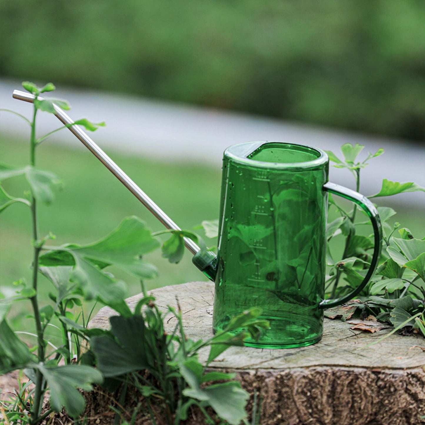 1L Indoor Outdoor Long Spout Watering Can Steel Plastic