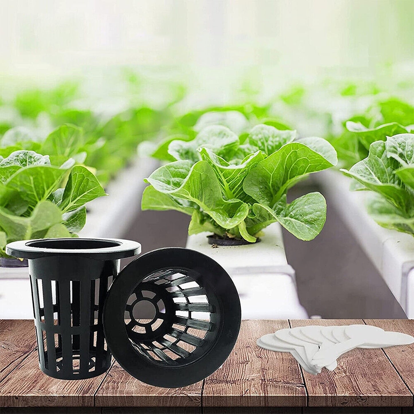 40pcs Hydroponics Aeroponic Planting Baskets Mesh Net Cup