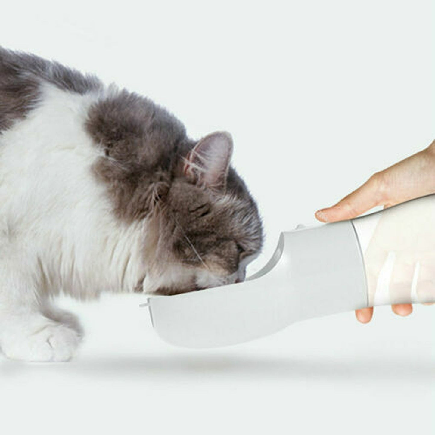 2-in-1 Portable Pet Water Bottle and Cup Dog Cat Drinking Feeder for Travel