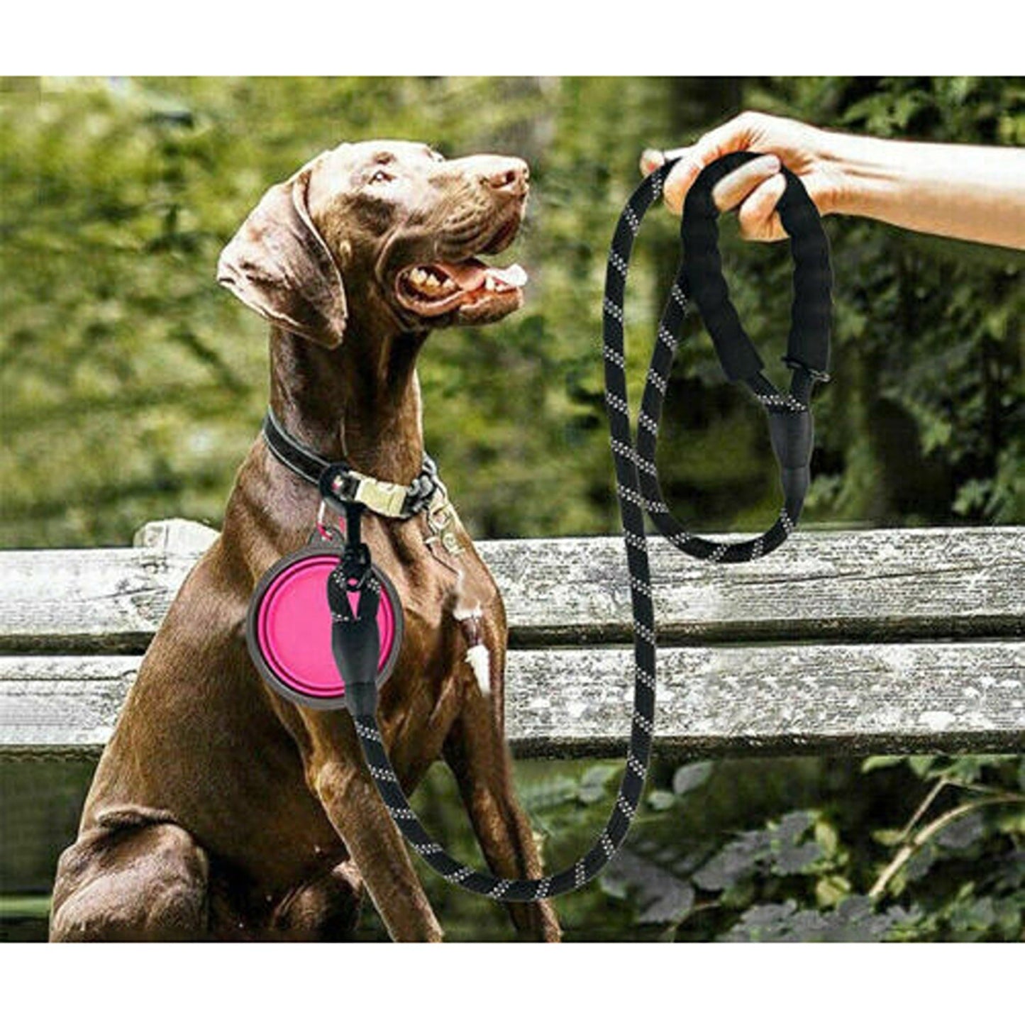 Black Heavy Duty Nylon Dog Training Leash Strong Rope Recall Lead