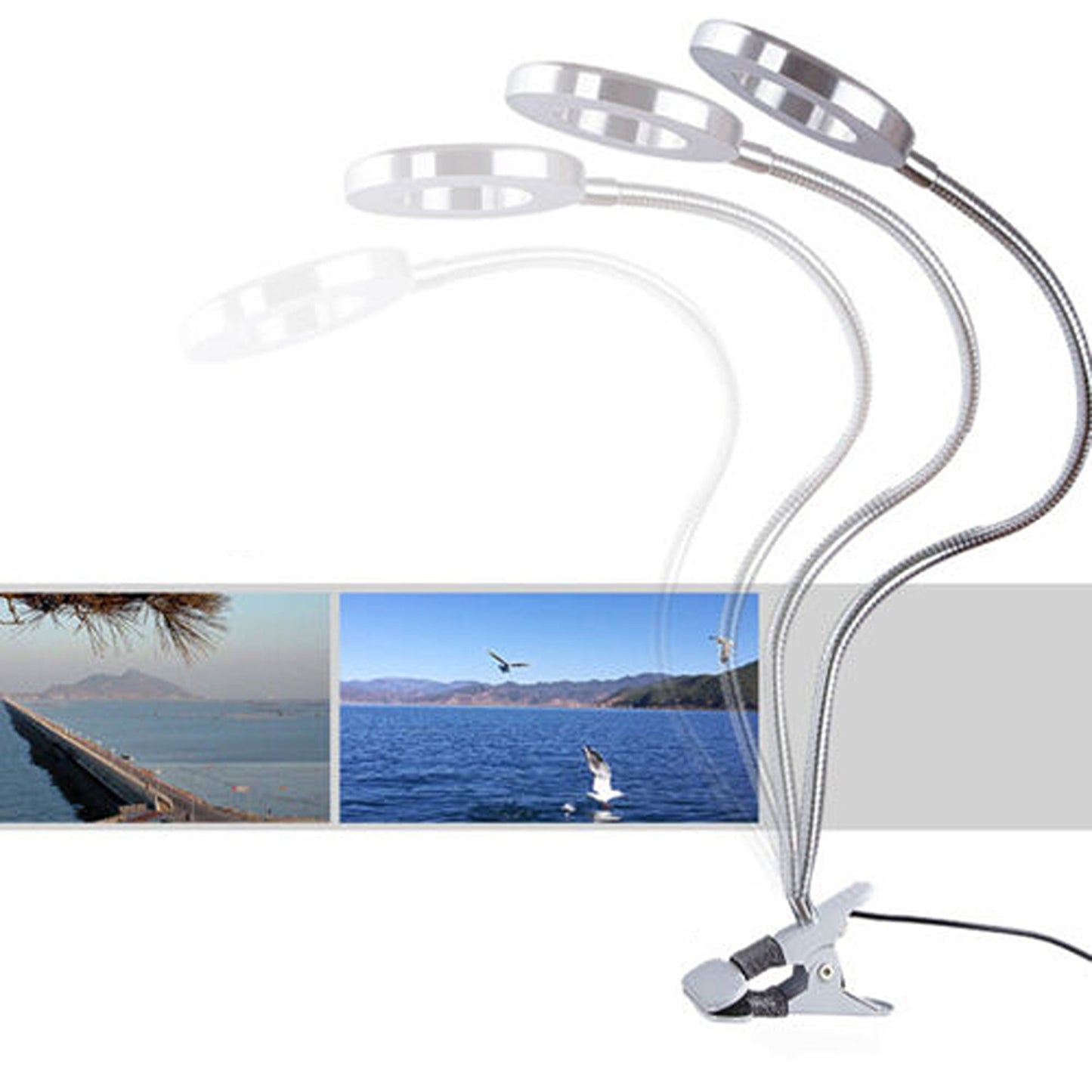 Desk Magnifying Lamp with LED Light and Clamp for Crafting Magnification
